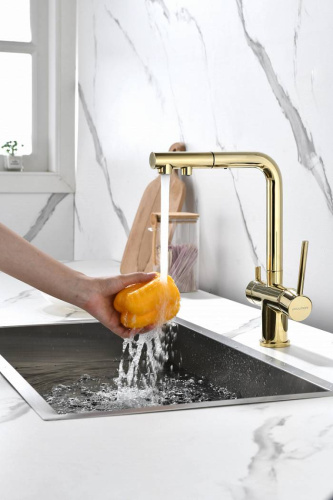 Смеситель PAULMARK SERPENTINE Se213222-G, золото