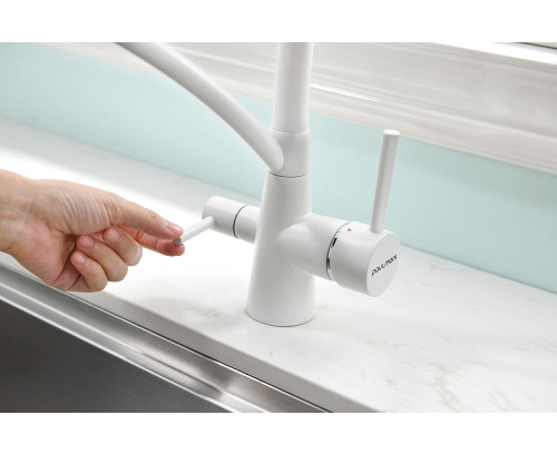 Смеситель PAULMARK SIEGEN Si213111-WH