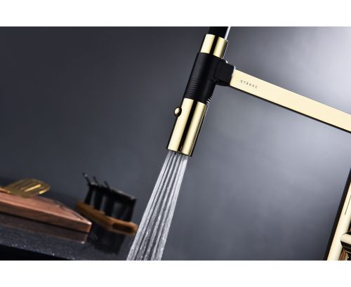 Смеситель PAULMARK LEADER Le214101-G, золото