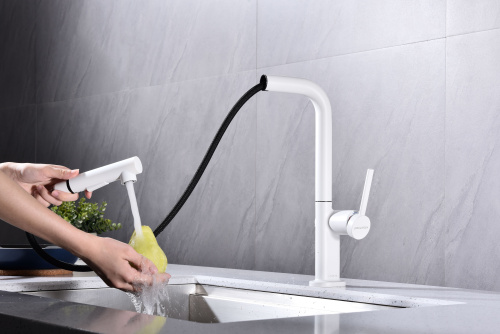 Смеситель PAULMARK NEO Ne214419-431, белый матовый