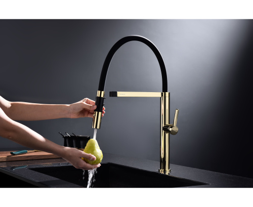Смеситель PAULMARK LEADER Le214101-G, золото